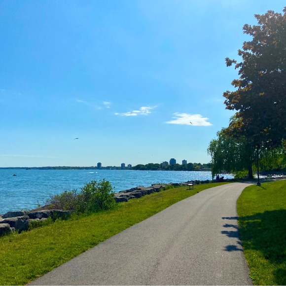 Summer Store is now OPEN! - Picture 1 of 1